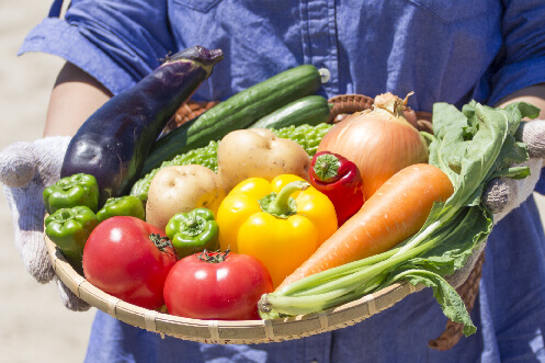 新鮮な野菜